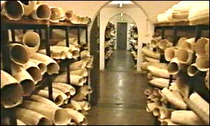 Ivory store in Harare