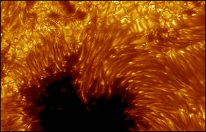 Institute for Solar Physics