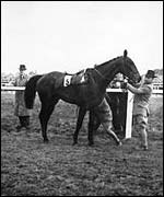 Devon Loch gets to his feet after stumbling in the 1956 Grand National