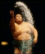 Sumo wrestlers try to pile on the pounds before their Bashos