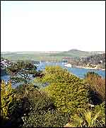 Salcombe