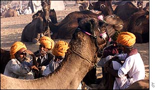 Traders at Pushkar camel fair