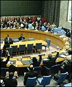 UN Security Council