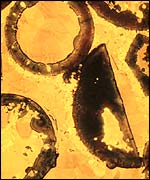 University of Aberdeen