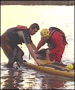 Sheep attached to surfboard