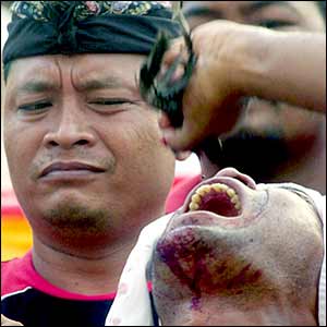 Man pulls a face (background) as another man drinks chicken blood during prayer for the bombing victims (AP photo)