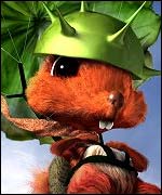 Squirrel by Anthony Bloor