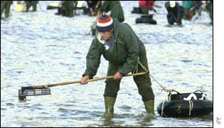 Cleaning the coastline