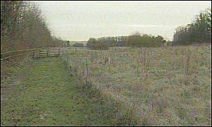 The Winchester meadow