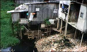 A favela, or shanty town in Manaus