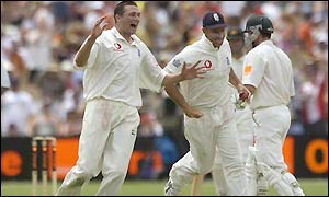 Steve Harmison celebrates his first wicket of the series as he removes Martyn for 95