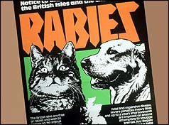 Rabies warning poster