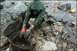 A worker collects oil sludge from a beach in Muxia, north-western Spain