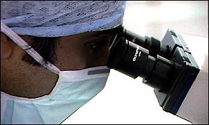 university researcher