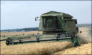 A harvester on a British farm