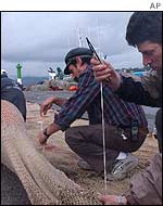 Fisherman create floats to keep off oil