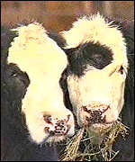 The EU has banned US hormone-treated beef 