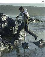 Volunteer working to contain the spill
