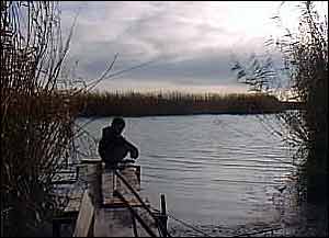 Boy by Caspian reeds A Kirby