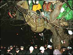 Protesters in tree house