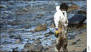 A volunteer stands on an oil covered beach