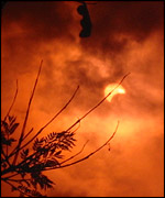 Partial eclipse, Denis Cilliers, South Africa, Johannesburg