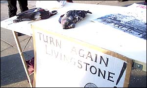 Dead pigeons shown during the protest