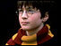 Daniel Radcliffe as Harry Potter