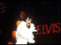 Elvis in concert