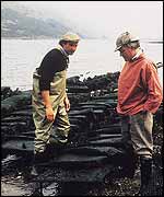 Loch Fyne oyster beds 