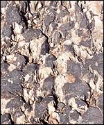 Isua rocks, Greenland