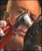 Professor Hans Schoepfer 