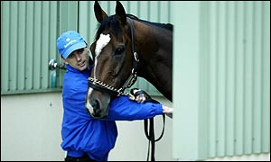 Hatha Anna of the Godolphin stables after his trackwork