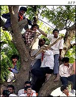 BJP supporters watch from a tree as incumbent BJP Chief Minister Narendra Modi addresses a rally