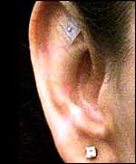 Cherie's needle stud from October 2001