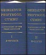 New Welsh Dictionary