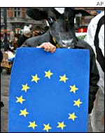 A protester at the EU summit in Copenhagen