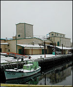 Newfoundland, Hirsch