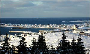 Newfoundland, Hirsch