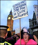 A pro-hunt protester