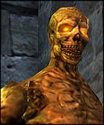 Return to Castle Wolfenstein screenshot, Activision