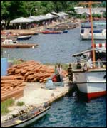 Timber yard in Solomon Islands