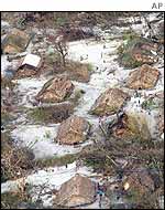 A village on Tikopia photographed by the Royal Australian Air Force