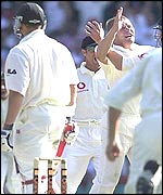 Matthew Hoggard celebrates the dismissal of Matthew Hayden