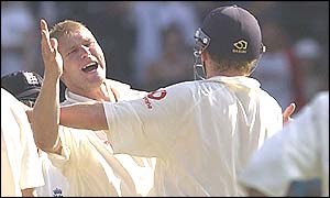 Matthew Hoggard is delighted after taking the wicket of Matthew Hayden