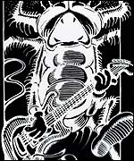 Artwork designed for The Beatles 