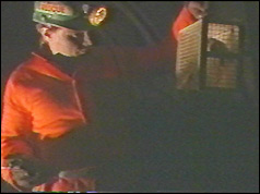 Miner underground with canary in cage