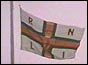 RNLI flag