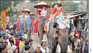 Decorated elephants in a ceremonial procession