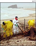 Mayor of Bordeaux takes part in clean-up